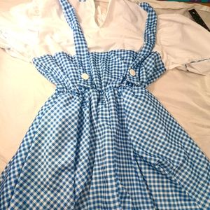 Dorothy from The Wizard of Oz Movie Costume for Halloween